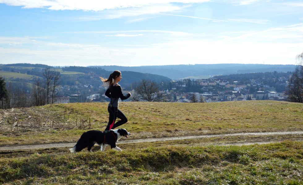 Gsund mit Hund in Passau